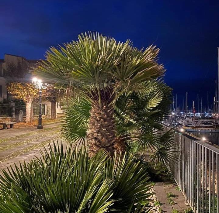 Arco Antico Apartment Alghero Extérieur photo